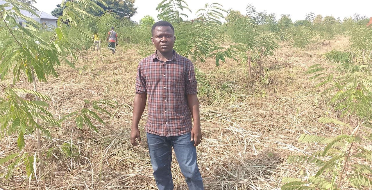 Cassia Plantation Visit