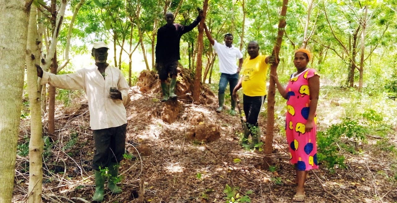 Original Neem Plantation Visit (2019)